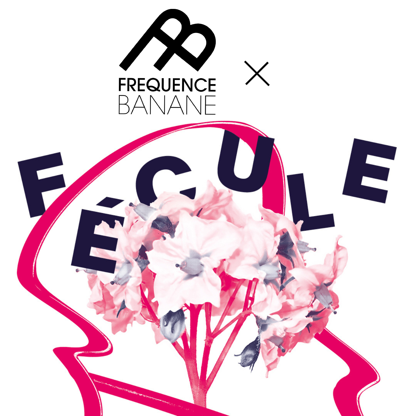Fréquence Banane avec Fécule #1