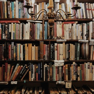 Au cœur du Salon du Livre de Genève 2026 : Regards croisés
